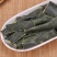 冬瓜皮干500克g包邮无硫干冬瓜皮中药材冬瓜皮冬瓜茶另售
