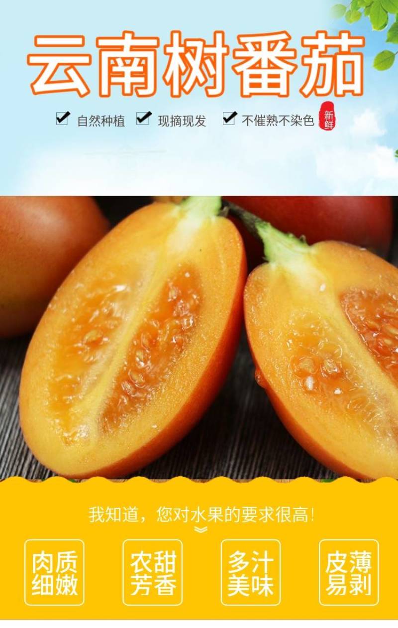 【热销推荐】番茄，云南施甸大树番茄，洋酸茄基地直发