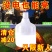 充电式LED灯泡夜市灯超亮停电应急家用可移动户外摆摊地摊