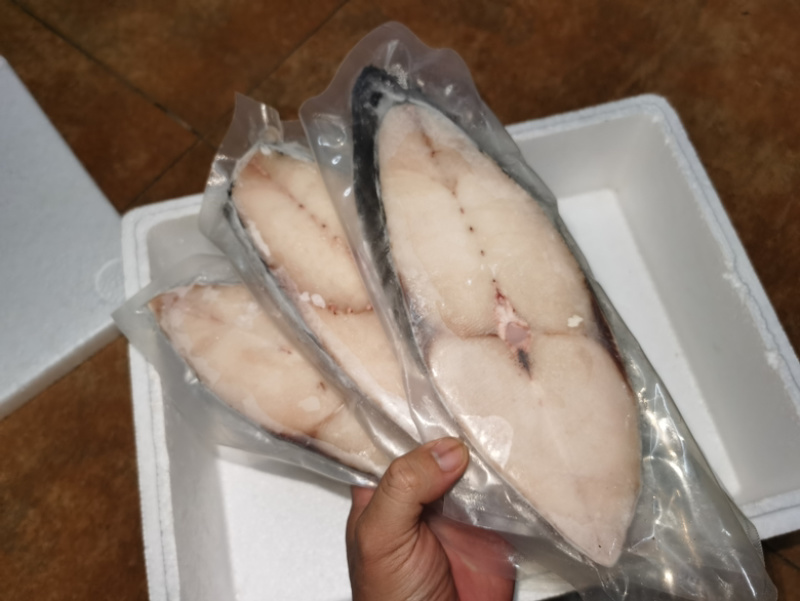 海南马鲛鱼
