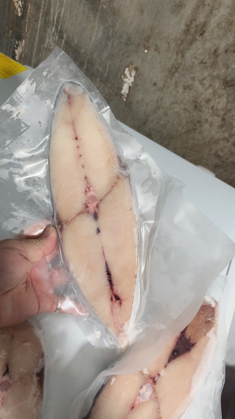 海南马鲛鱼
