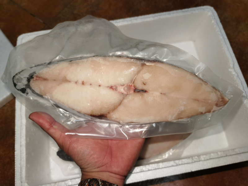 海南马鲛鱼