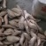 精品冰糖心哈密薯，山东德州一手货源，量大从优