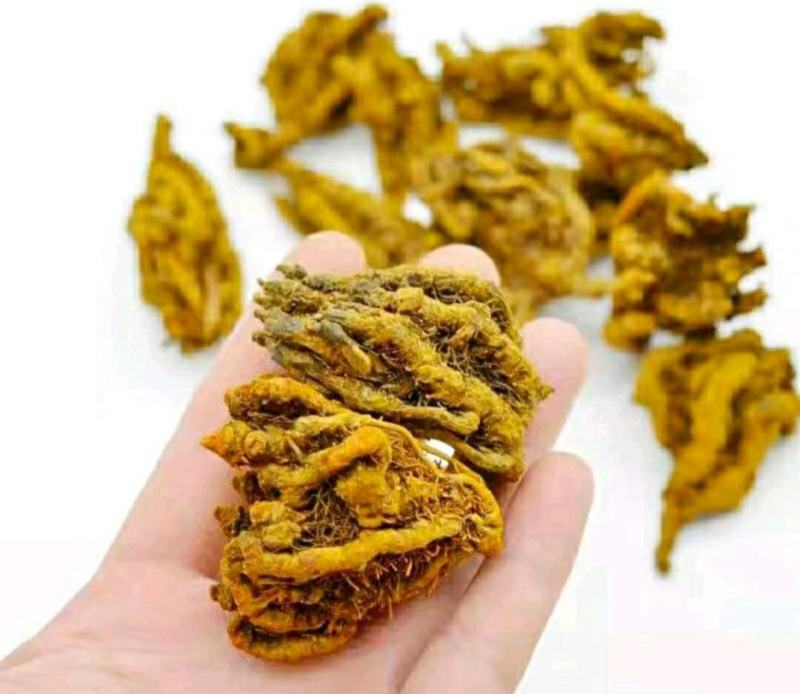 鸡爪黄连道地中药材川黄连泡茶泡水保质保量包邮