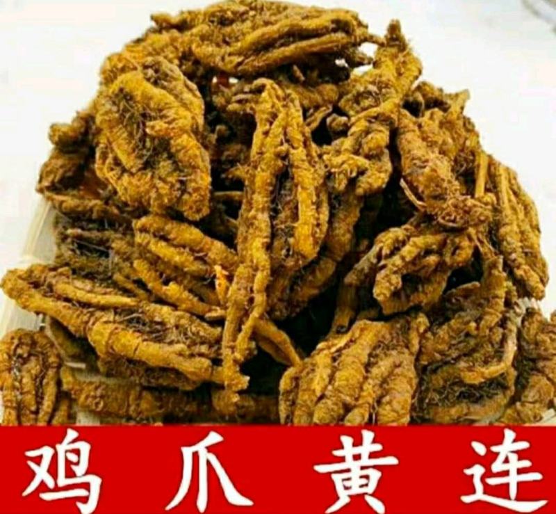 鸡爪黄连道地中药材川黄连泡茶泡水保质保量包邮