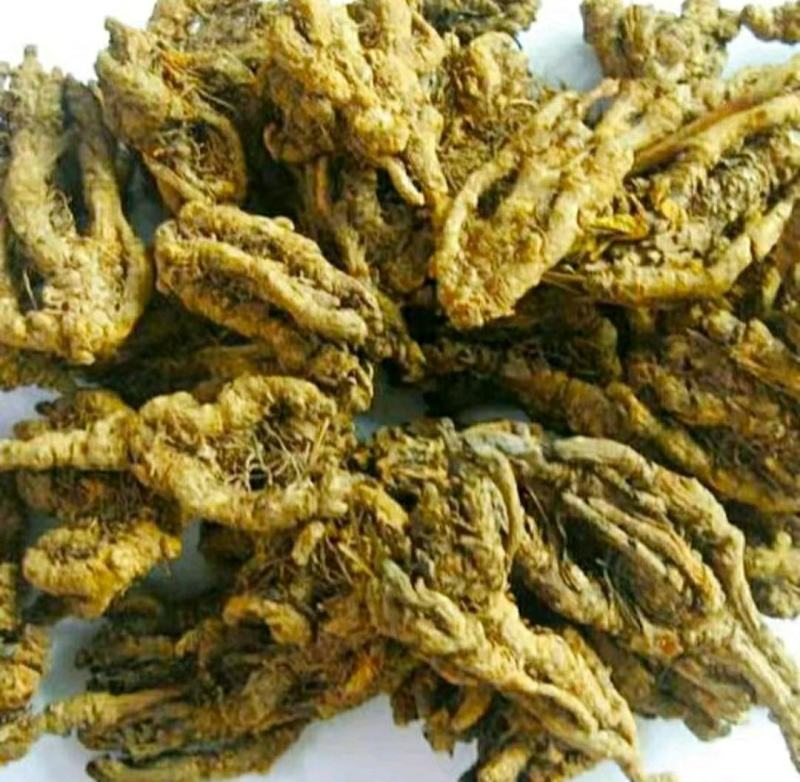 鸡爪黄连道地中药材川黄连泡茶泡水保质保量包邮