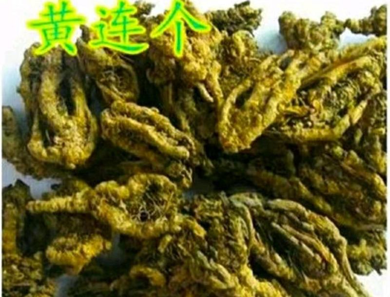 鸡爪黄连道地中药材川黄连泡茶泡水保质保量包邮