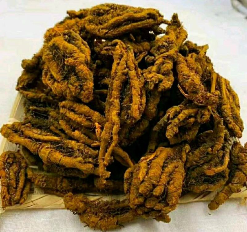 鸡爪黄连道地中药材川黄连泡茶泡水保质保量包邮
