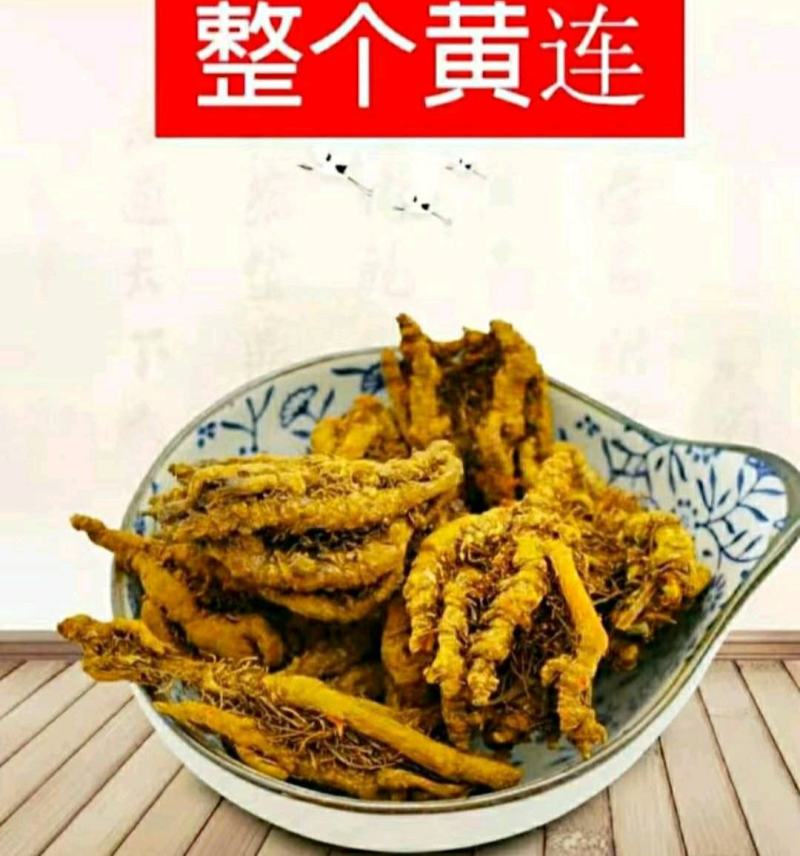 鸡爪黄连道地中药材川黄连泡茶泡水保质保量包邮