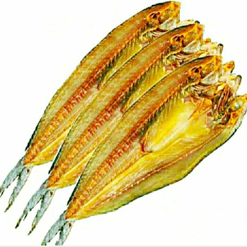 新鲜海蜇头深海海蜇头肉质饱满原汁原味新鲜美味包邮