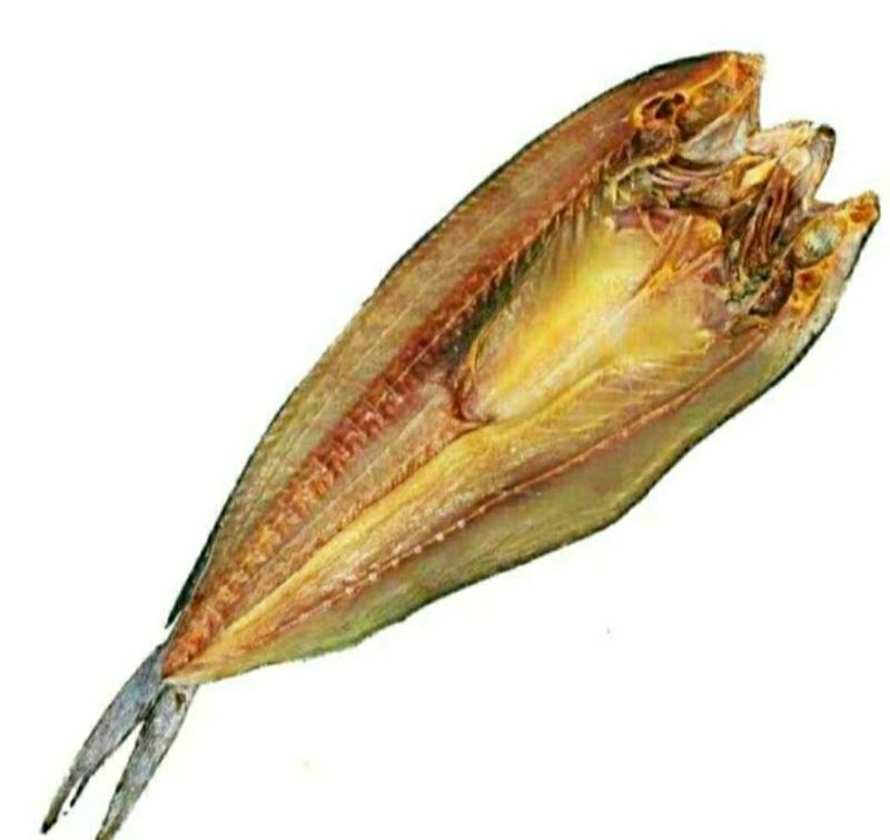 新鲜海蜇头深海海蜇头肉质饱满原汁原味新鲜美味包邮