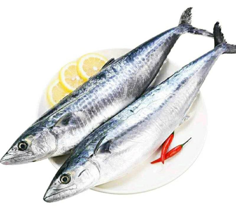 新鲜海蜇头深海海蜇头肉质饱满原汁原味新鲜美味包邮
