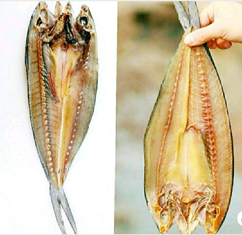 新鲜海蜇头深海海蜇头肉质饱满原汁原味新鲜美味包邮