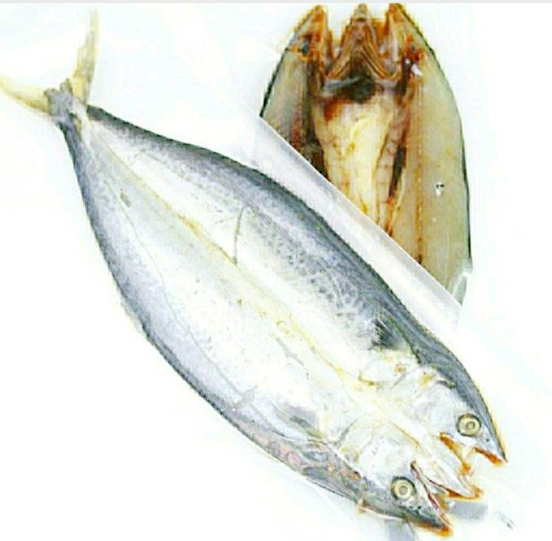新鲜海蜇头深海海蜇头肉质饱满原汁原味新鲜美味包邮