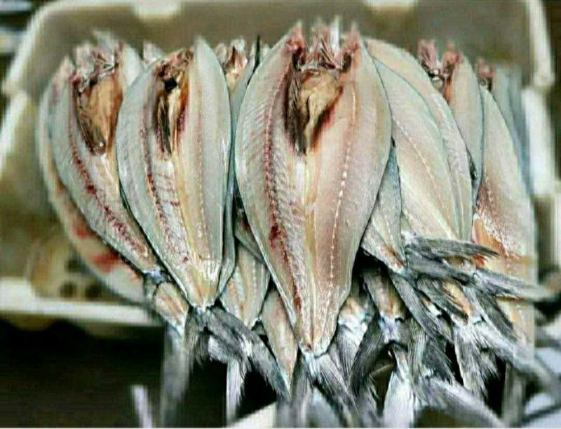 新鲜海蜇头深海海蜇头肉质饱满原汁原味新鲜美味包邮