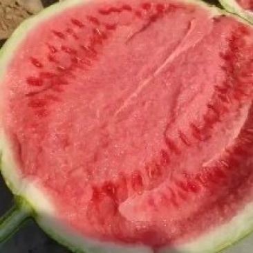麒麟无籽美都西瓜