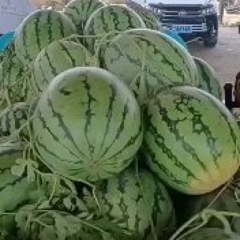 西瓜之瓜