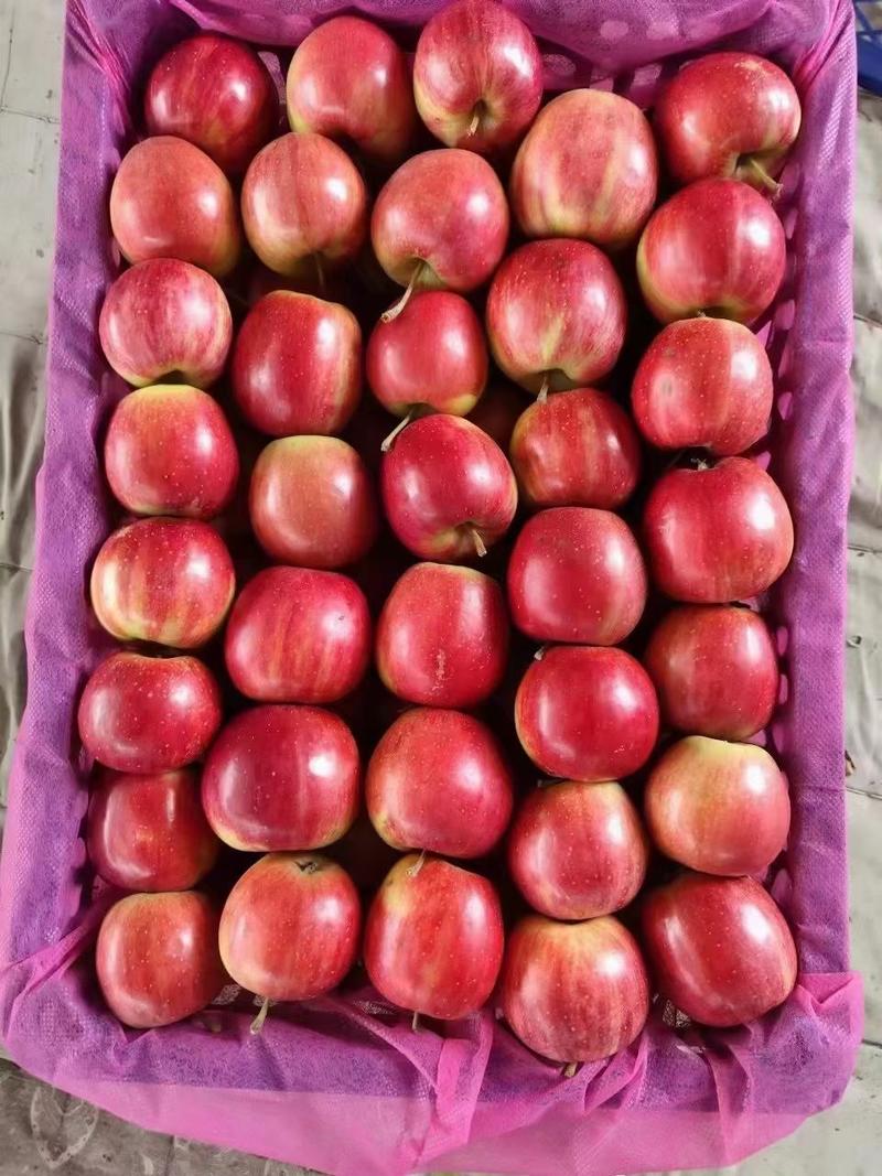开原鸡心果，开原野生榛子，K9小苹果，123苹果，牛奶果
