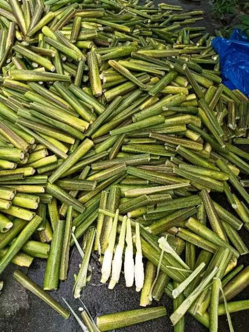 安徽本地单季茭大量供应，精品，电商平台货，食堂货规格齐全
