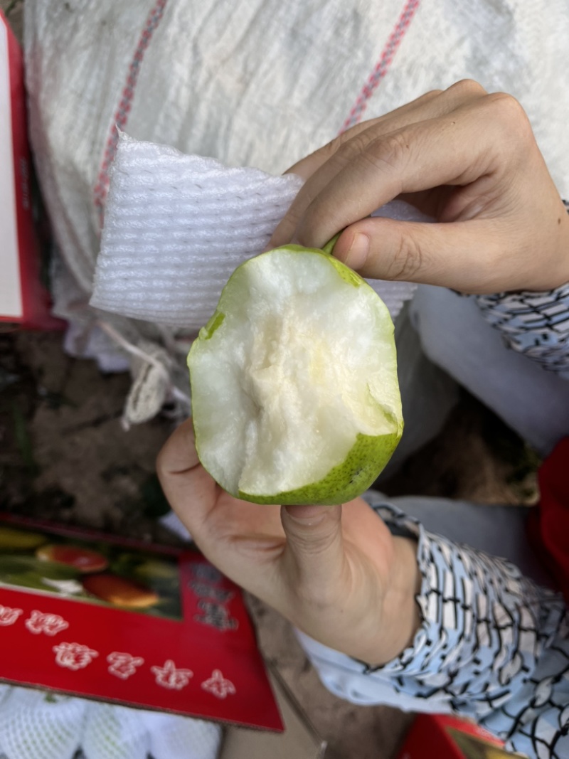 果面干净亮度高！个大皮薄脆甜多汁！欢迎新老客户光临