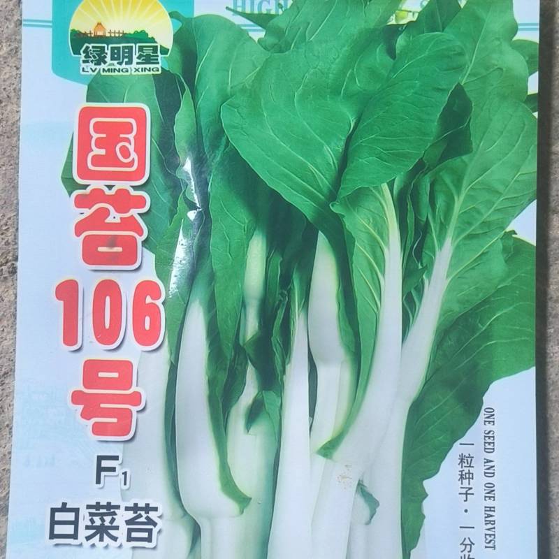 种植基地用种国苔106号白菜苔种子