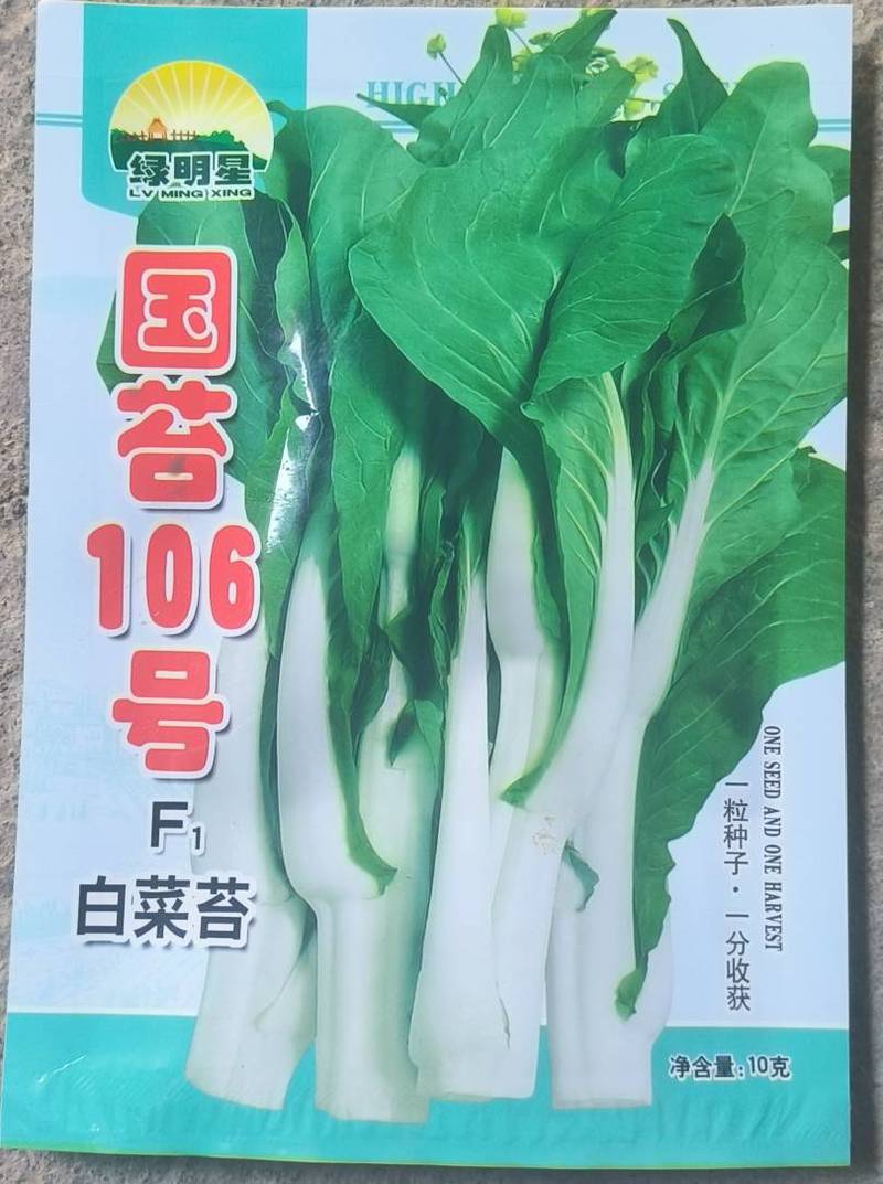 种植基地用种国苔106号白菜苔种子