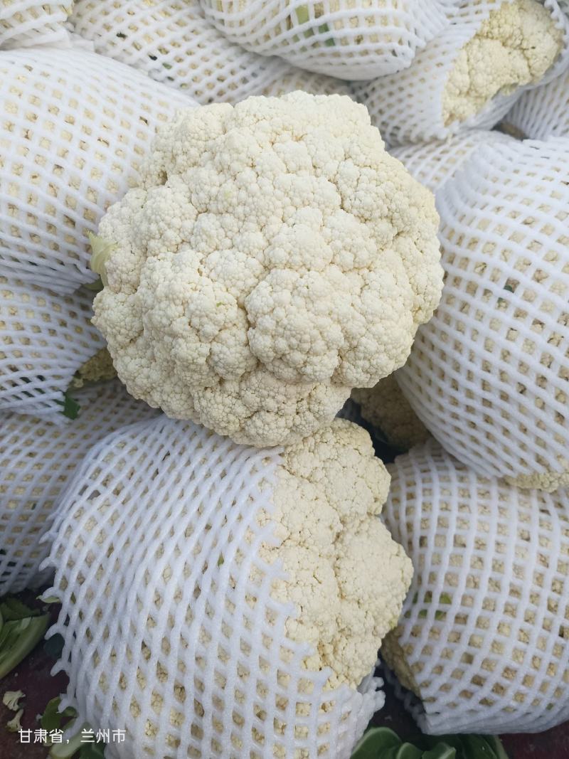 有机花大量上市