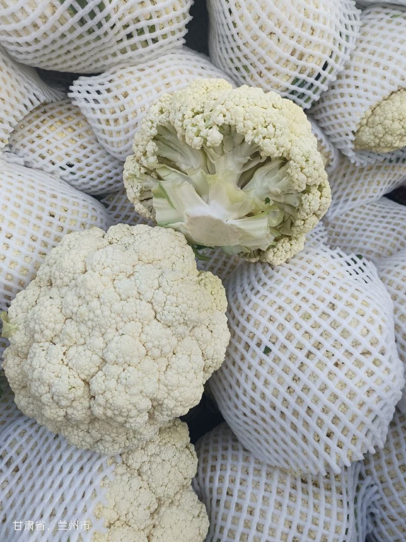 有机花大量上市