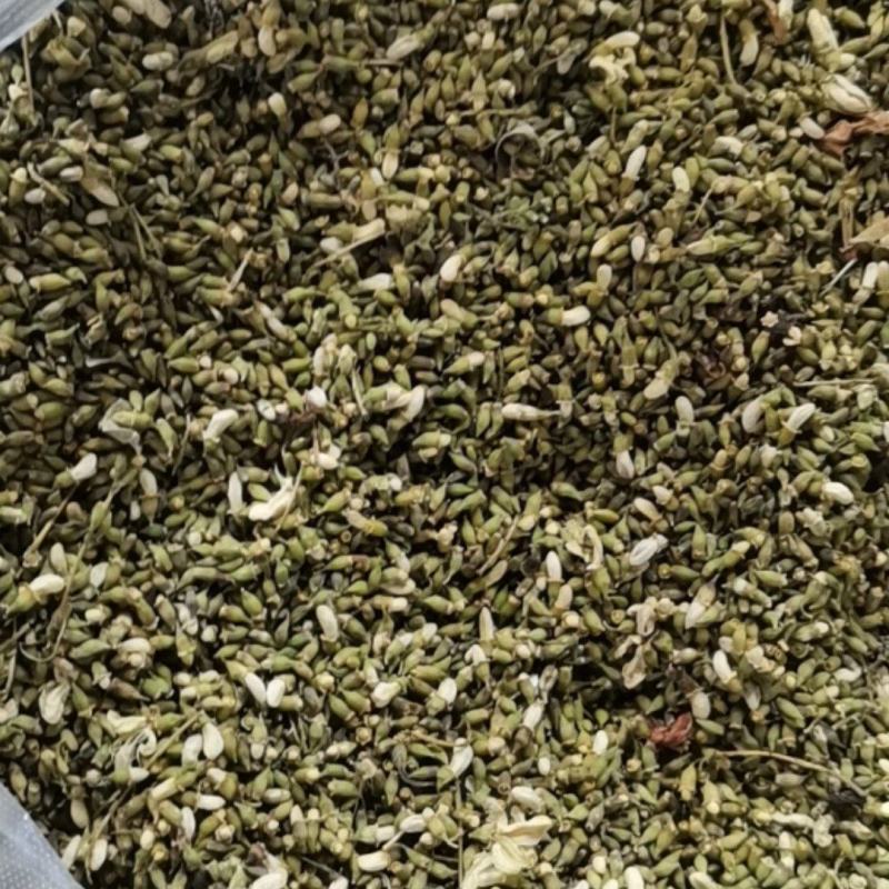槐米！纯手工挑选槐米！精挑细选！要货随时联系！
