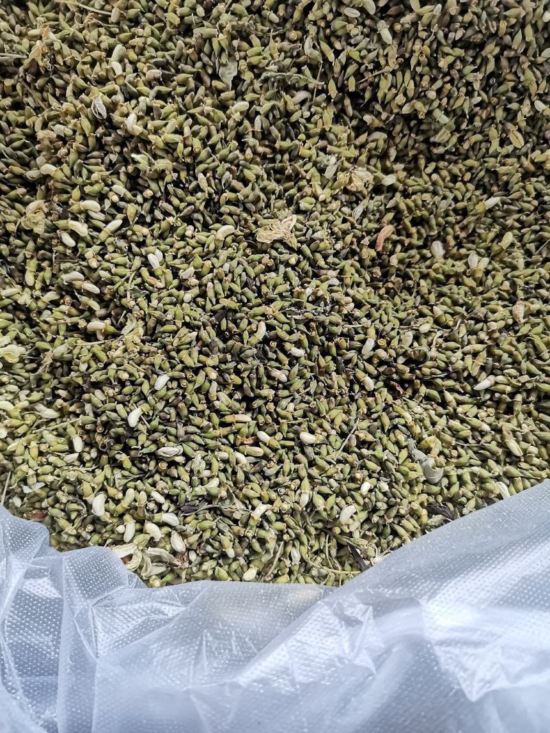 槐米！纯手工挑选槐米！精挑细选！要货随时联系！