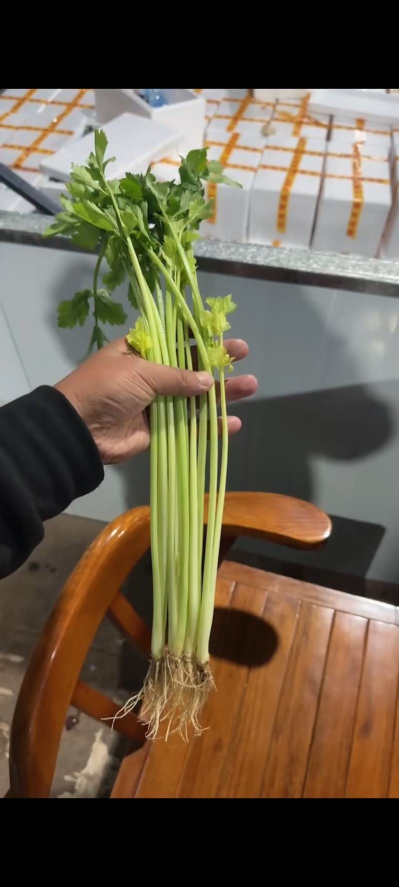 云南精品芹菜，小水芹，中芹，土芹长年有货