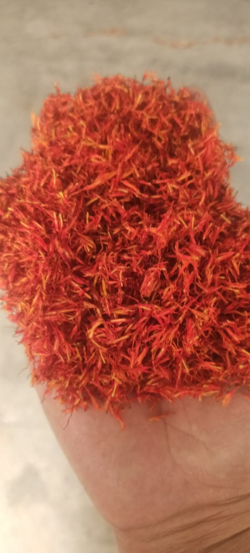 红花新疆红花实物拍摄纯净货量大从优产地直销，