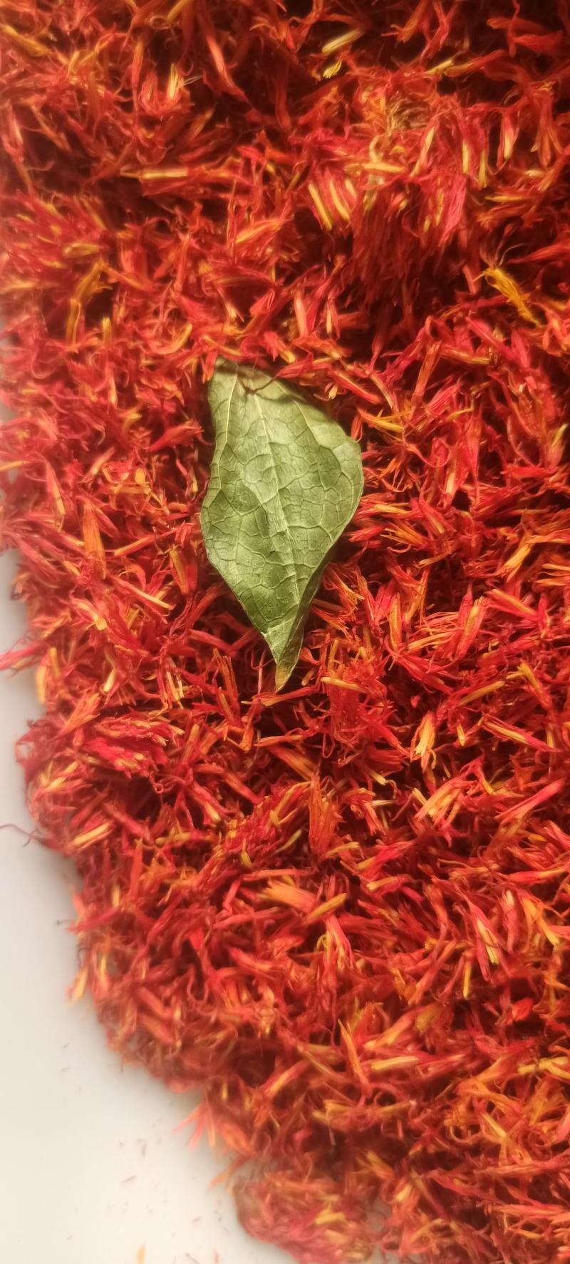 红花新疆红花实物拍摄纯净货量大从优产地直销，