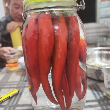 荑人椒