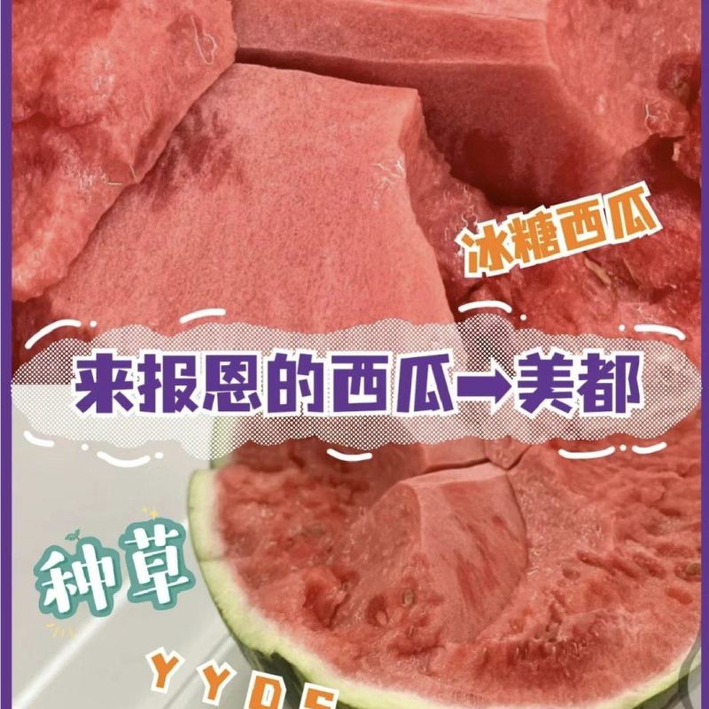 《精品推荐》山西美都西瓜，大量上市，量大从优，口感脆甜