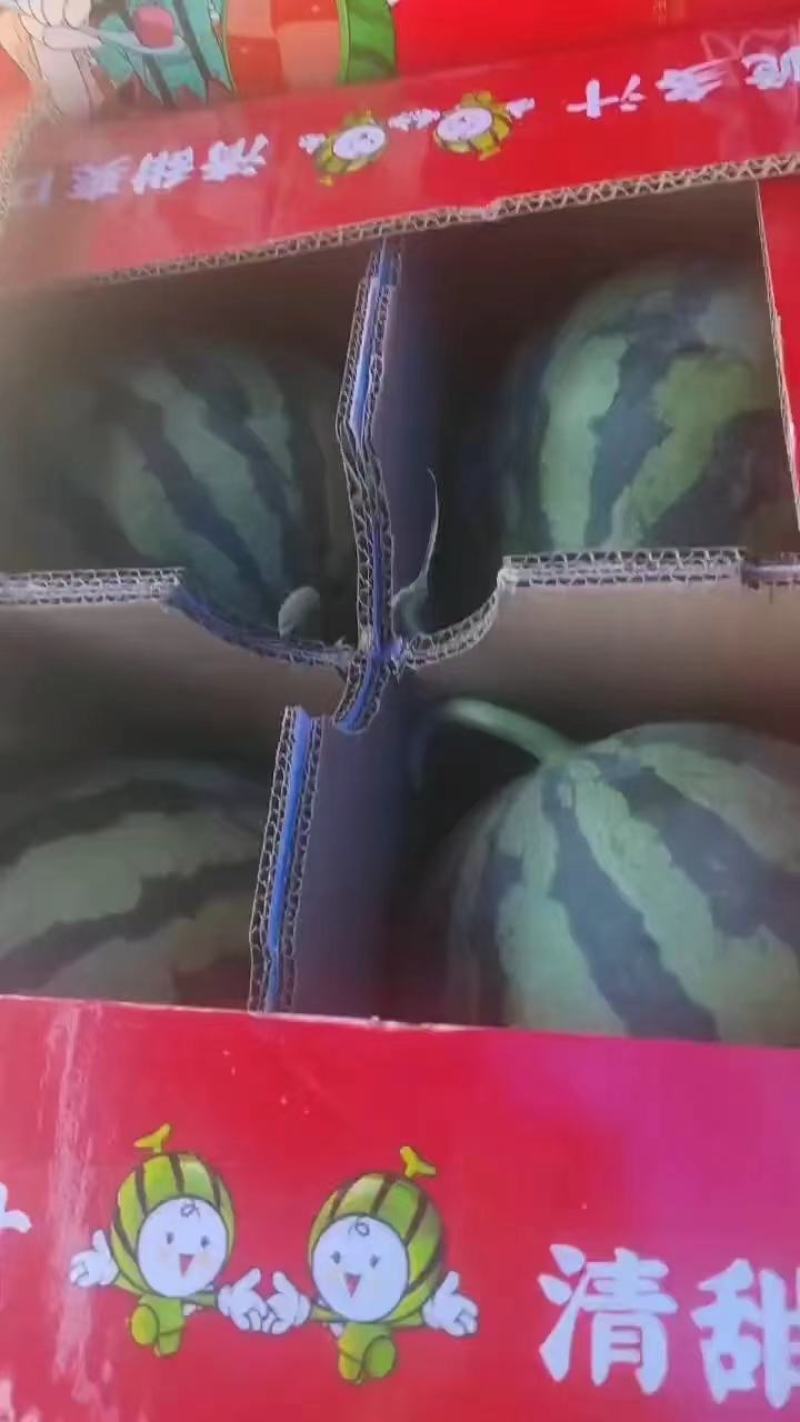 《精品推荐》山西美都西瓜，大量上市，量大从优，口感脆甜