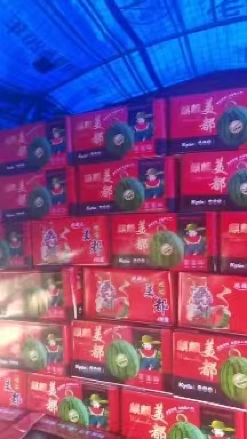 《精品推荐》山西美都西瓜，大量上市，量大从优，口感脆甜