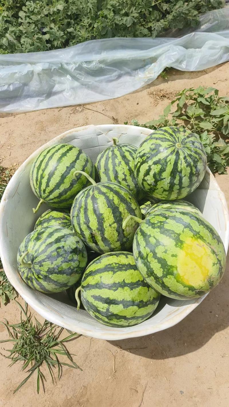 《精品推荐》山西美都西瓜，大量上市，量大从优，口感脆甜