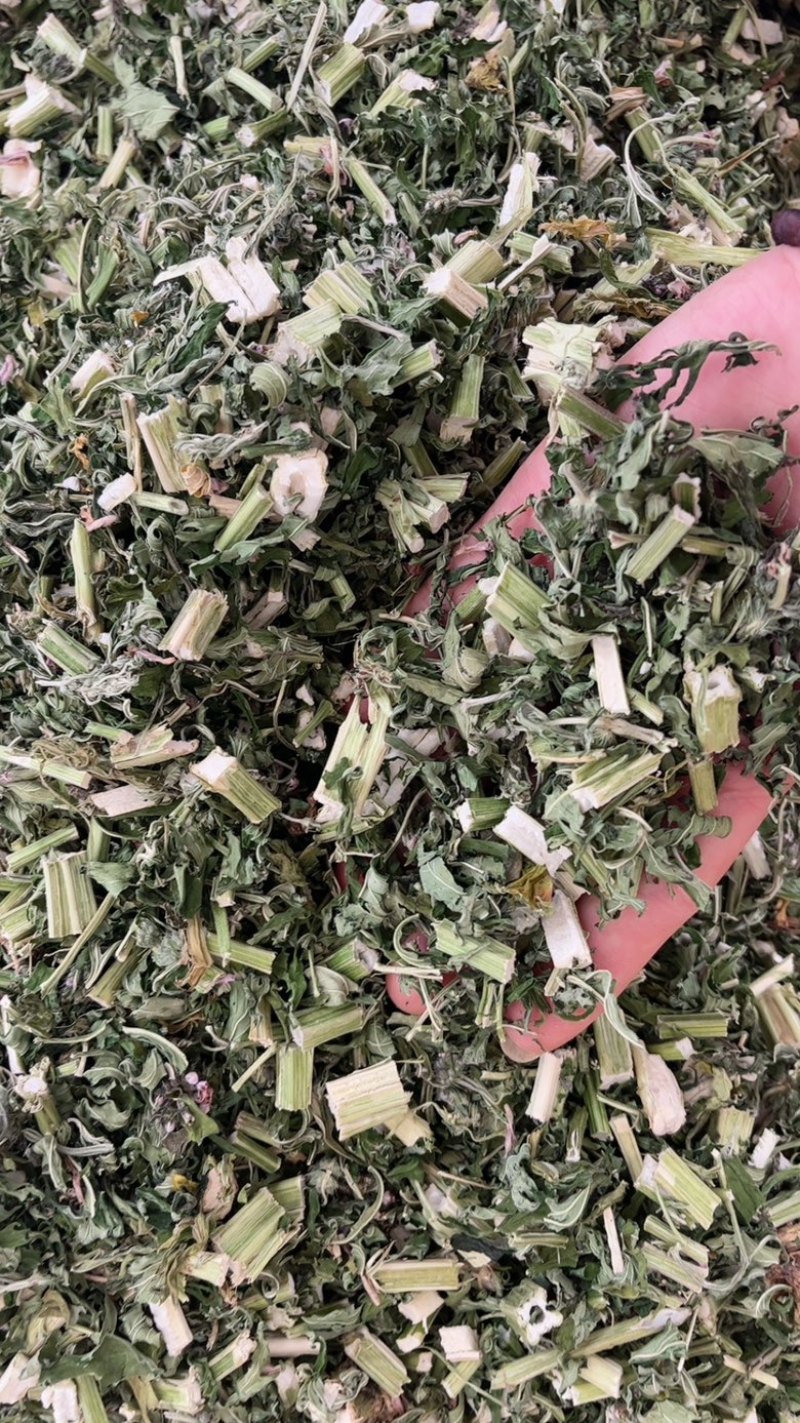 益母草中药材批发零售条子机压件切断各种规格