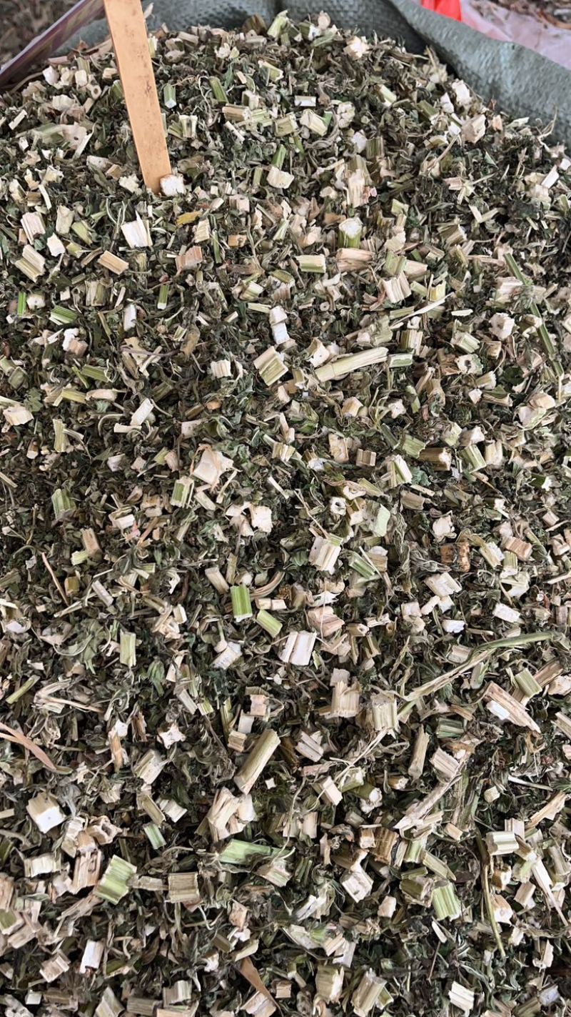 益母草中药材批发零售条子机压件切断各种规格