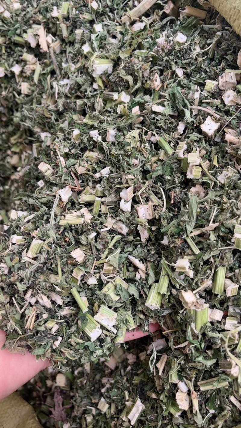 益母草中药材批发零售条子机压件切断各种规格