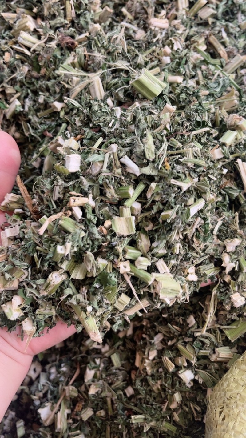 益母草中药材批发零售条子机压件切断各种规格