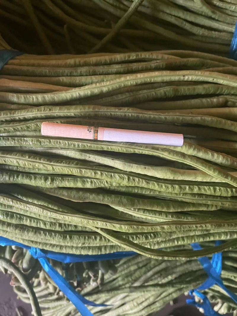 【产地直发】开封长条豆角青豆角青条豆角货源充足品质保证
