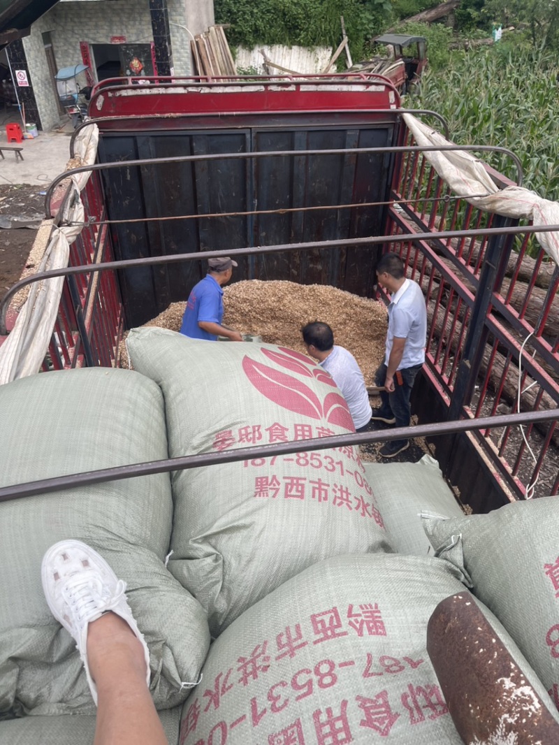 贵州袋装木屑颗粒食用菌原料品质保障，全年供应电话联系
