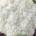 精品松花菜，花菜，菜花