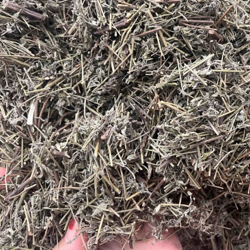 香薷切段3公斤起发