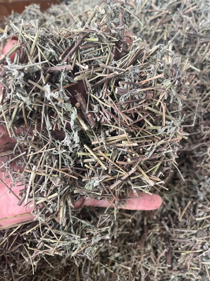 香薷切段3公斤起发