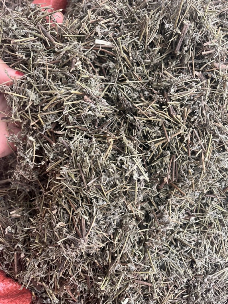 香薷切段3公斤起发