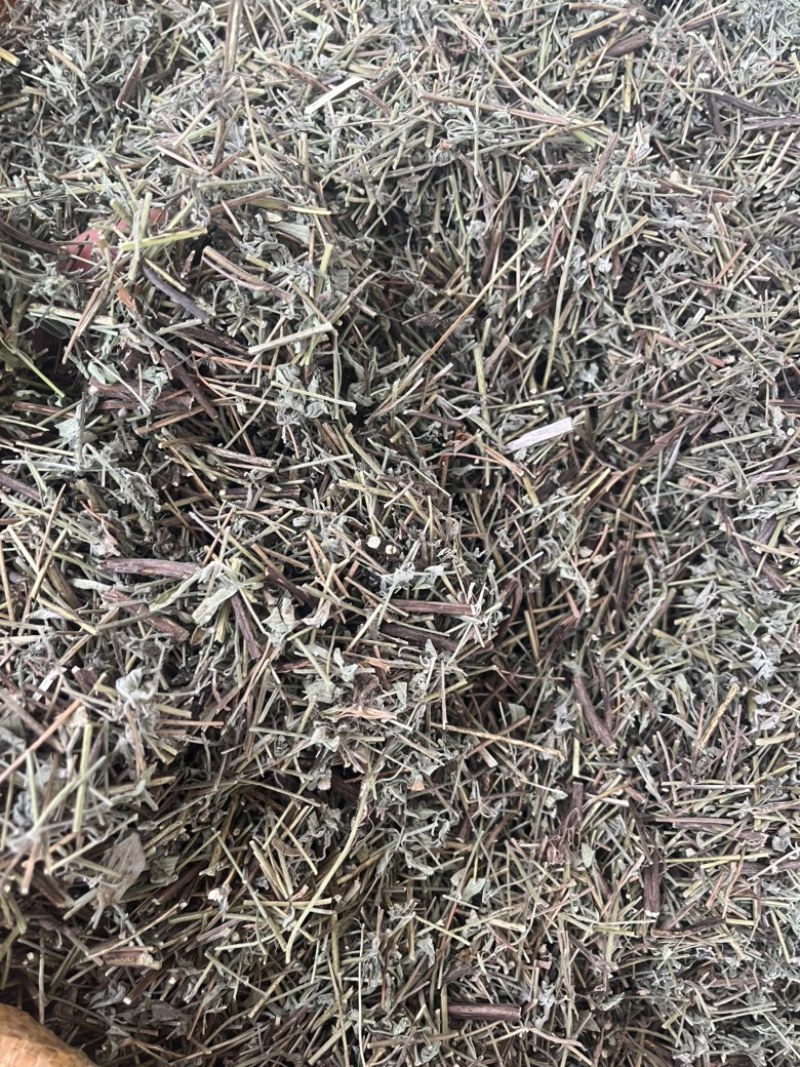 香薷切段3公斤起发