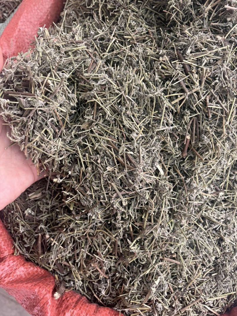 香薷切段3公斤起发